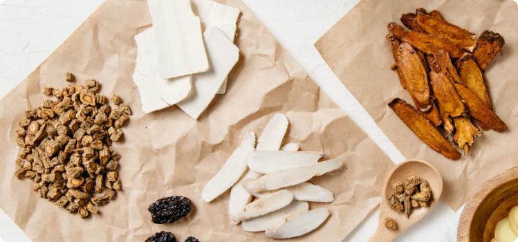 中藥藥劑學（榮譽）理學士